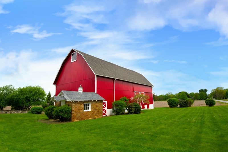 Barn Wall Repair in Olathe, KS