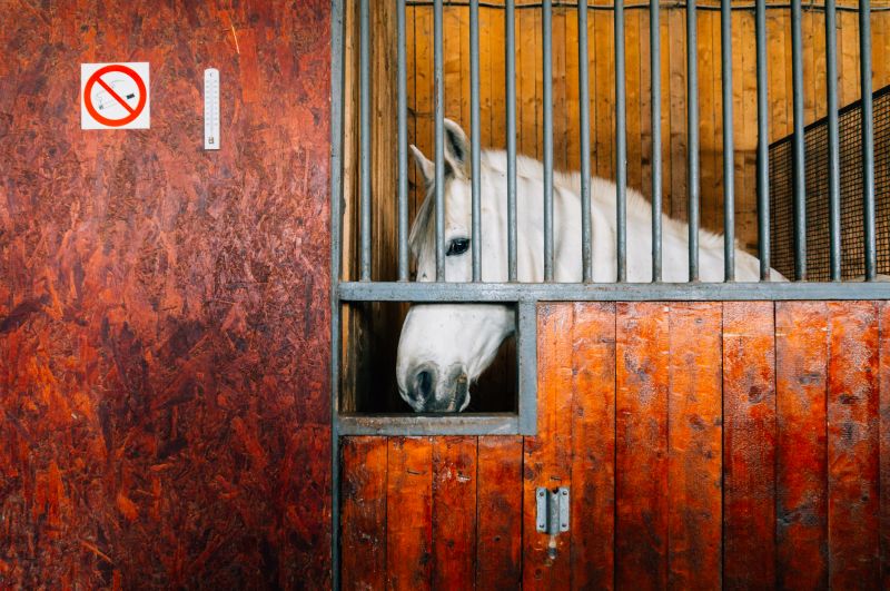 Horse Stall Repair in Overland Park, KS