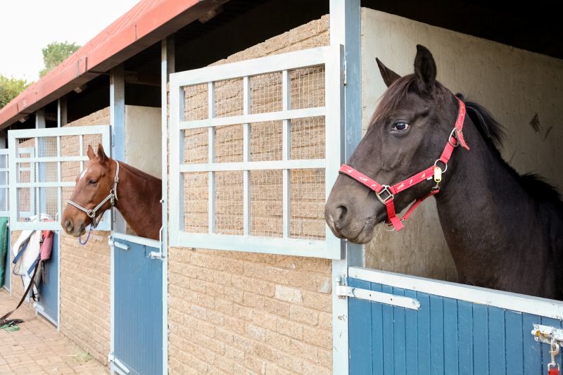 Stable Repair in Conroe, TX